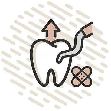 Екстракции